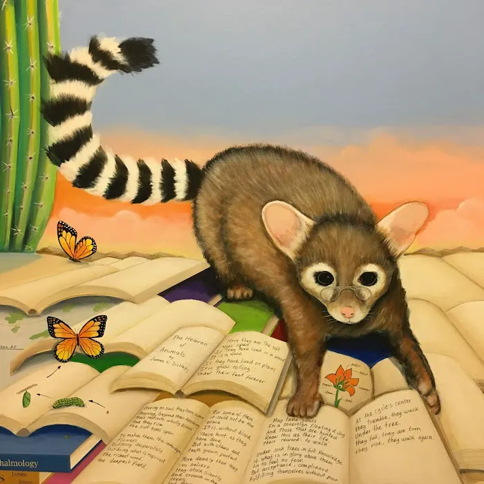 Eyeshine Veterinary Picture 9