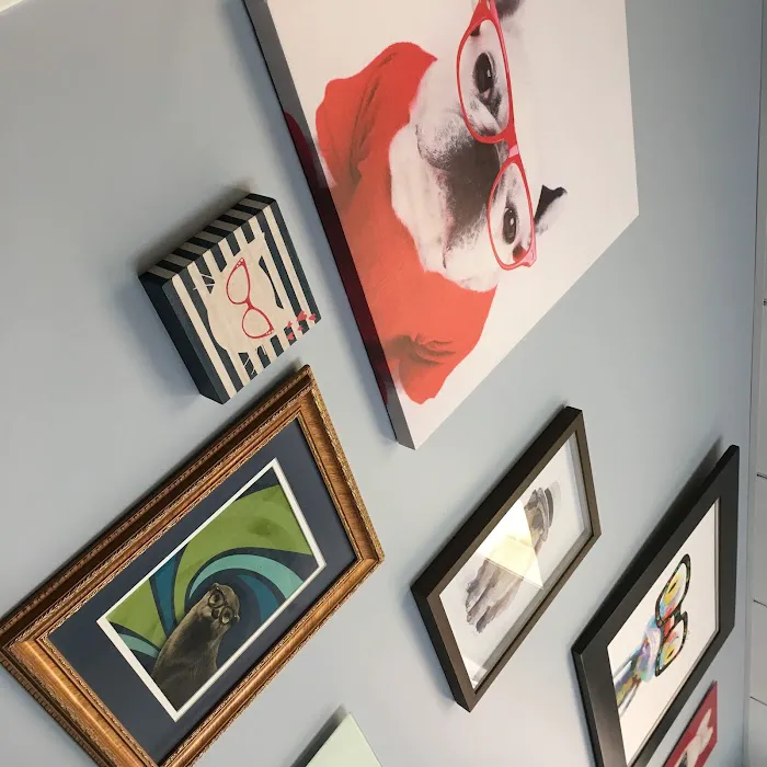 Eyeshine Veterinary Picture 8