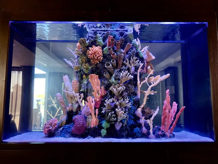 Reef Creations Picture 3