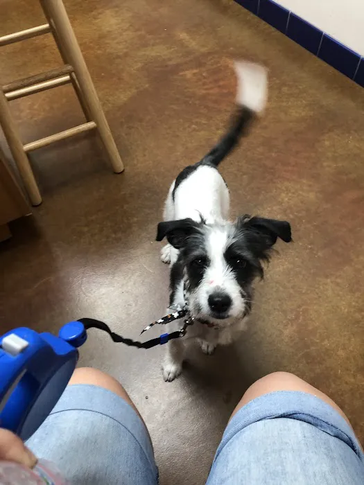 McClintock Animal Care Center Picture 3