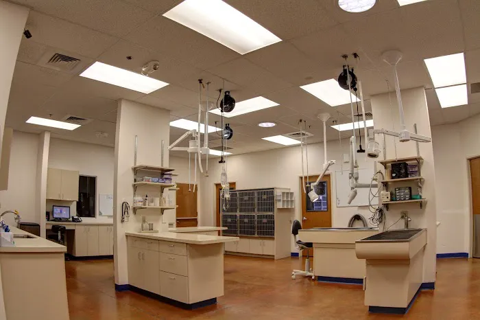 McClintock Animal Care Center Picture 6