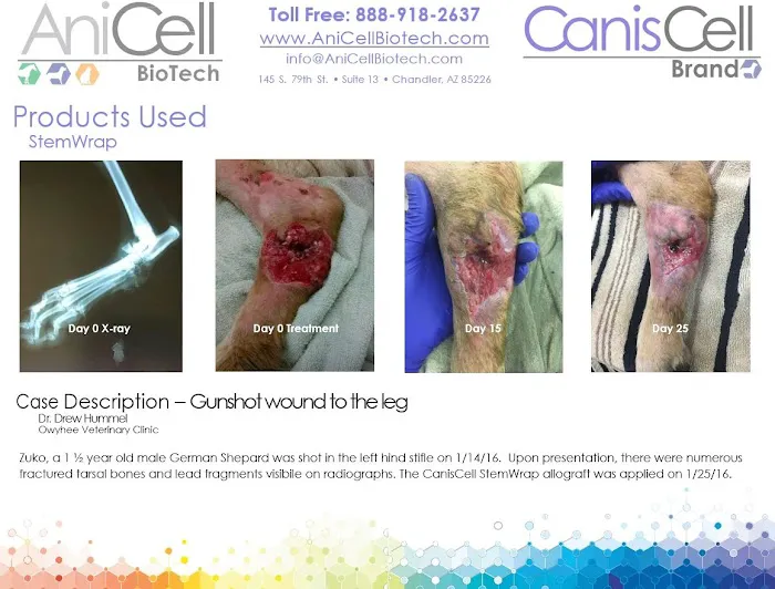 AniCell Biotech, LLC Picture 2