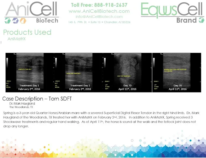 AniCell Biotech, LLC Picture 6