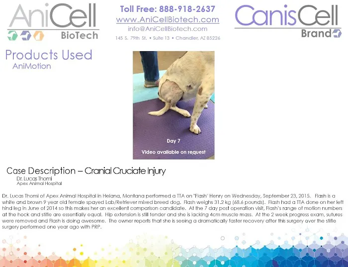 AniCell Biotech, LLC Picture 4
