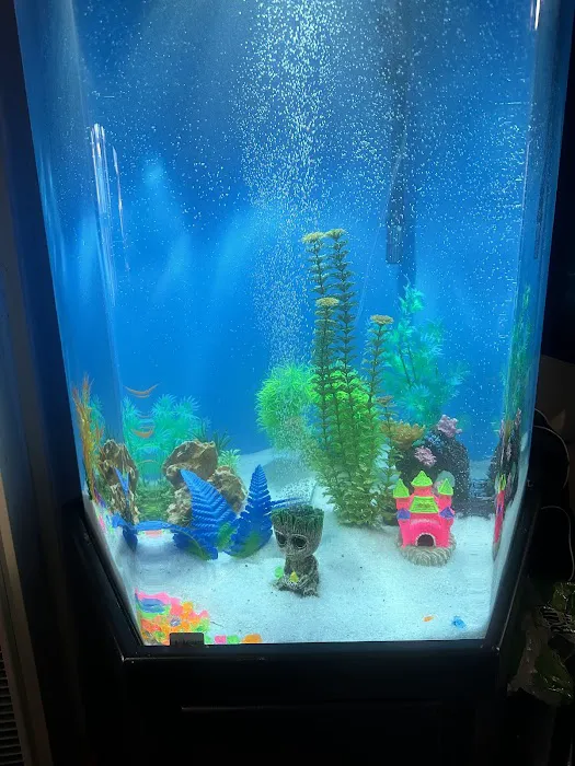 Aqua Biz Inc Picture 5