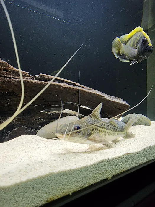 Aqua Biz Inc Picture 10