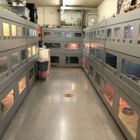 La Habra Exotic Pets ico