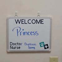 Dr. Marnie Duplissis, DVM CVCP ico