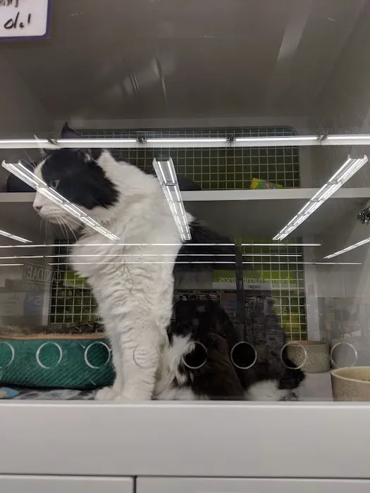 Petco Picture 9