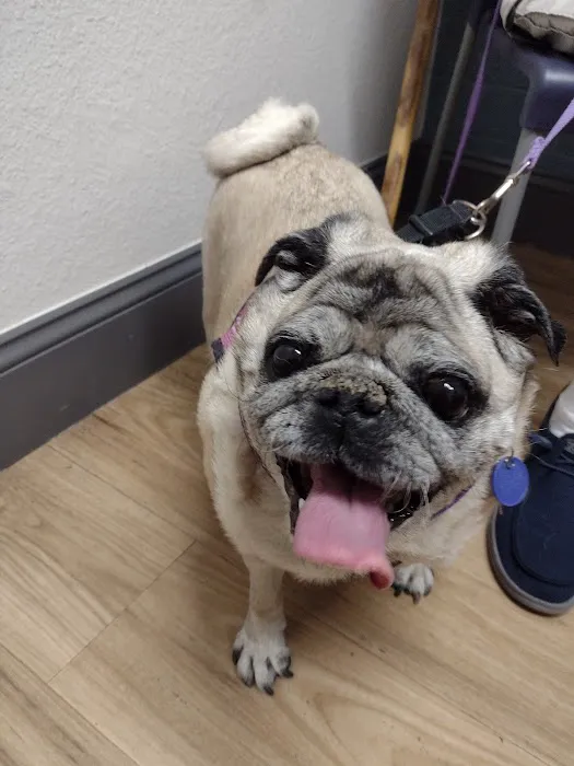 Neighborhood Veterinary Clinic Picture 1