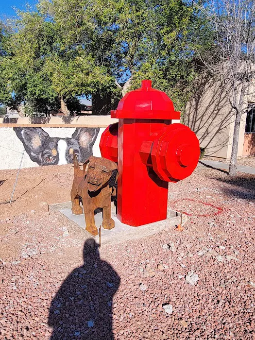 Neighborhood Veterinary Clinic Picture 4