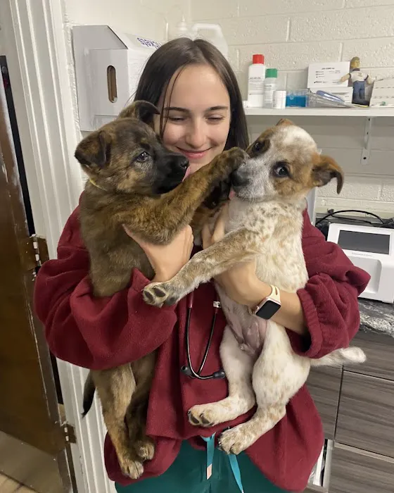Neighborhood Veterinary Clinic Picture 10