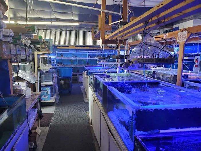Discount Tropical Fish & Pond Picture 3