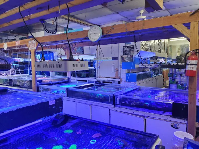Discount Tropical Fish & Pond Picture 1