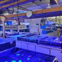 Discount Tropical Fish & Pond ico
