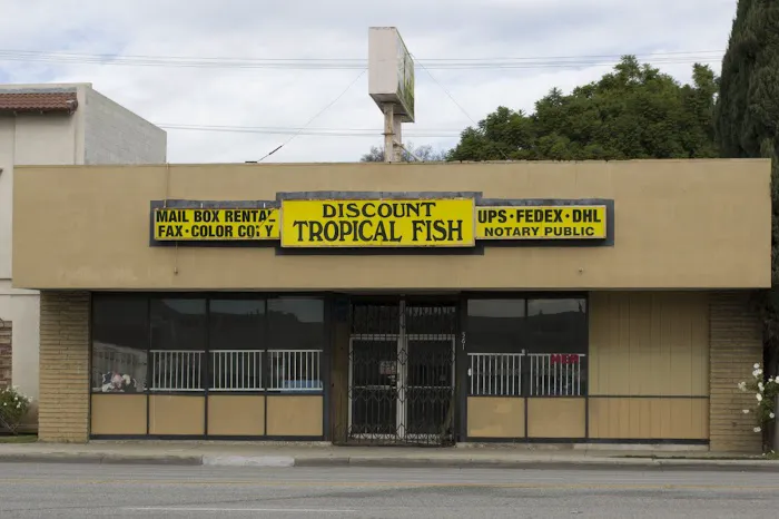 Discount Tropical Fish & Pond Picture 4