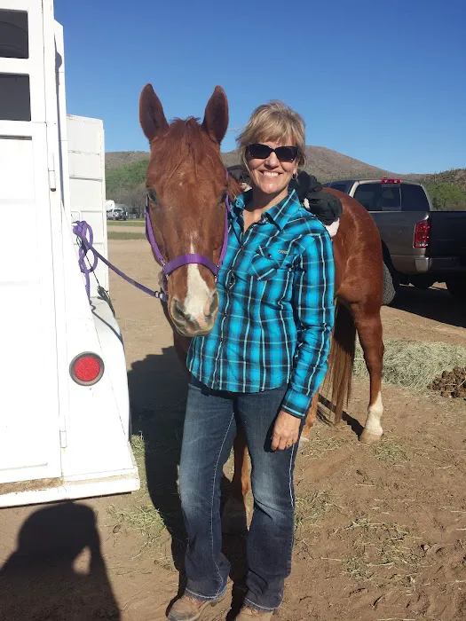 West Valley Equine Veterinary Services, LLC Picture 2