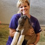 West Valley Equine Veterinary Services, LLC