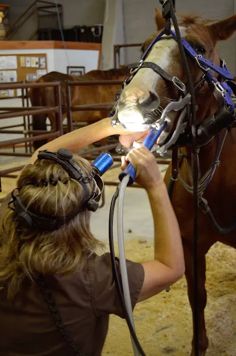 West Valley Equine Veterinary Services, LLC Picture 5