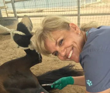 West Valley Equine Veterinary Services, LLC Picture 3