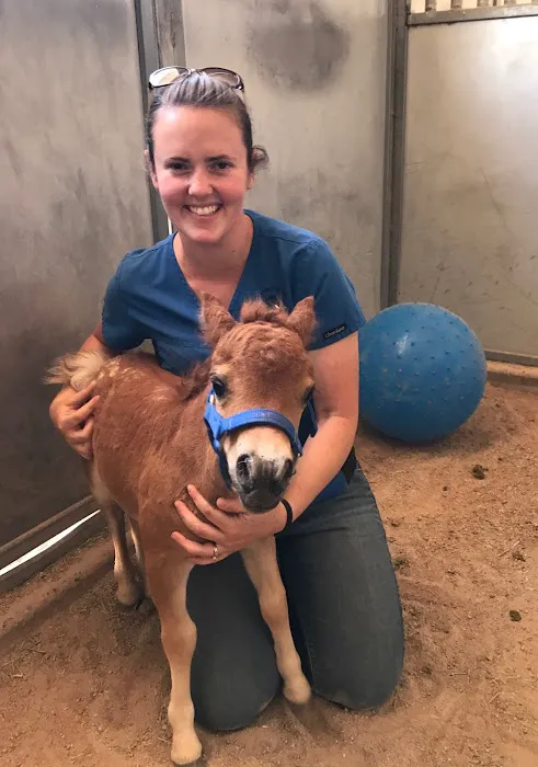 West Valley Equine Veterinary Services, LLC Picture 9