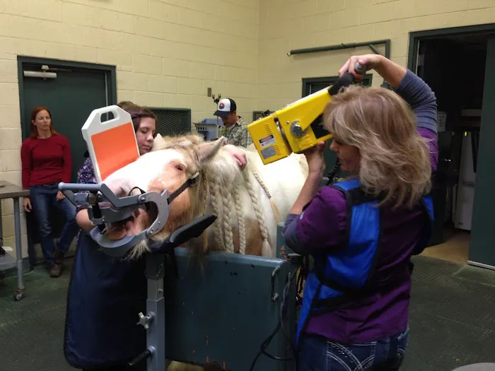 West Valley Equine Veterinary Services, LLC Picture 10