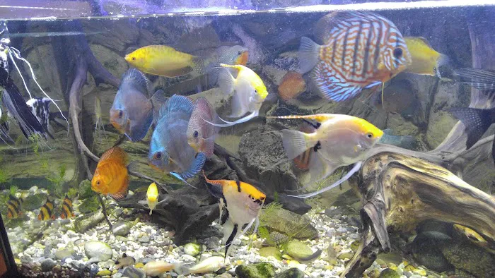 West Lake Aquarium Picture 2