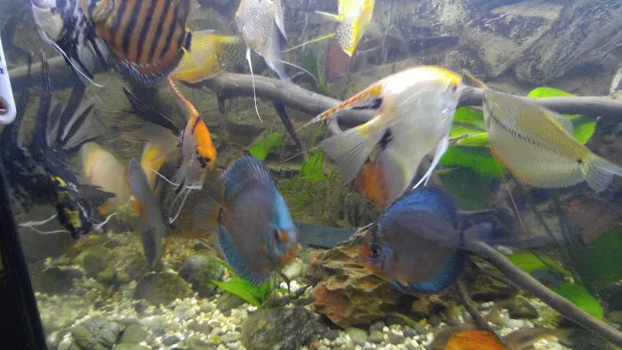 West Lake Aquarium Picture 5