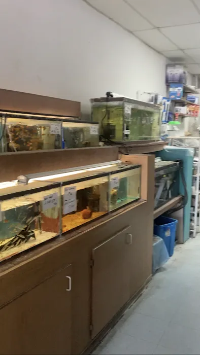 West Lake Aquarium Picture 10