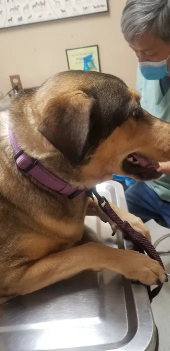 Pride Animal Hospital Picture 4