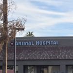 Pride Animal Hospital