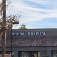 Pride Animal Hospital ico