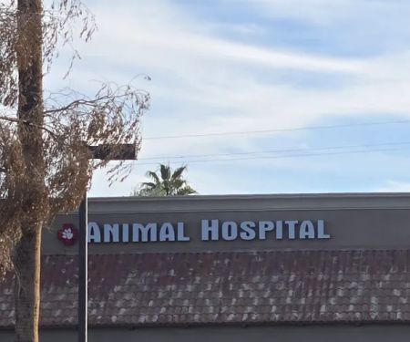 Pride Animal Hospital