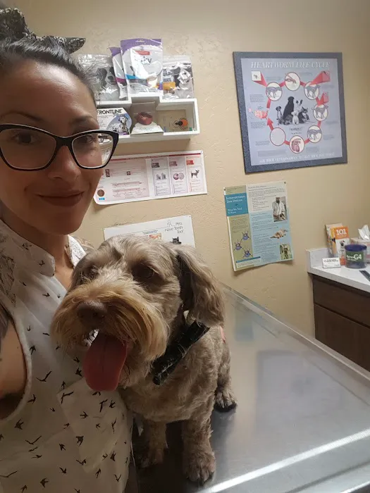 Pride Animal Hospital Picture 5