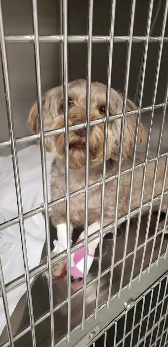 Pride Animal Hospital Picture 6
