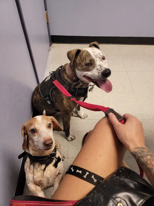 Pride Animal Hospital Picture 7