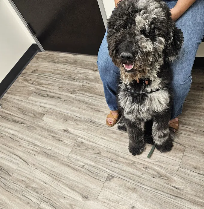 Amethyst Veterinary Clinic Picture 5