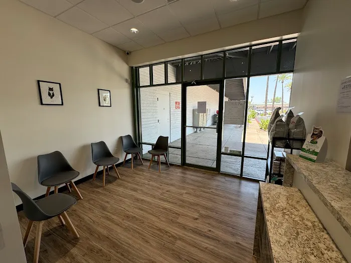 Amethyst Veterinary Clinic Picture 4