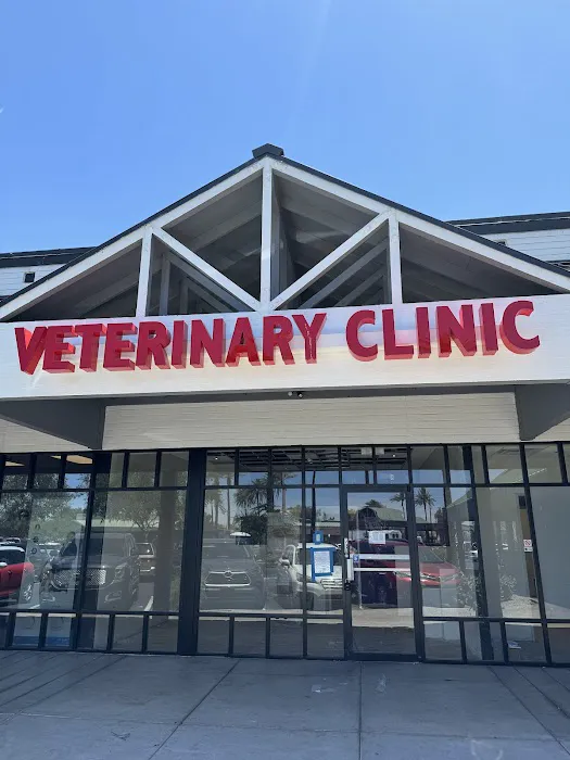 Amethyst Veterinary Clinic Picture 7