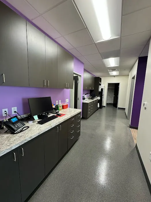 Amethyst Veterinary Clinic Picture 9