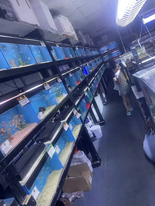 Strictly Fish Picture 2