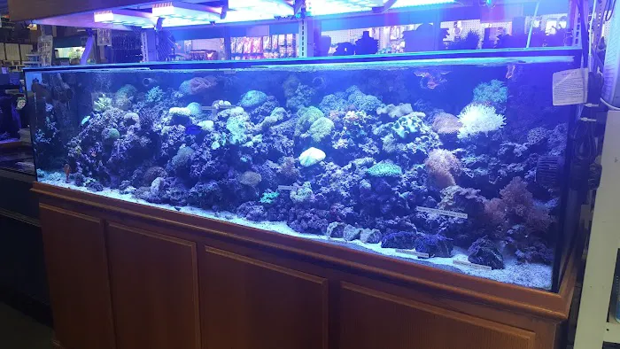 Strictly Fish Picture 9