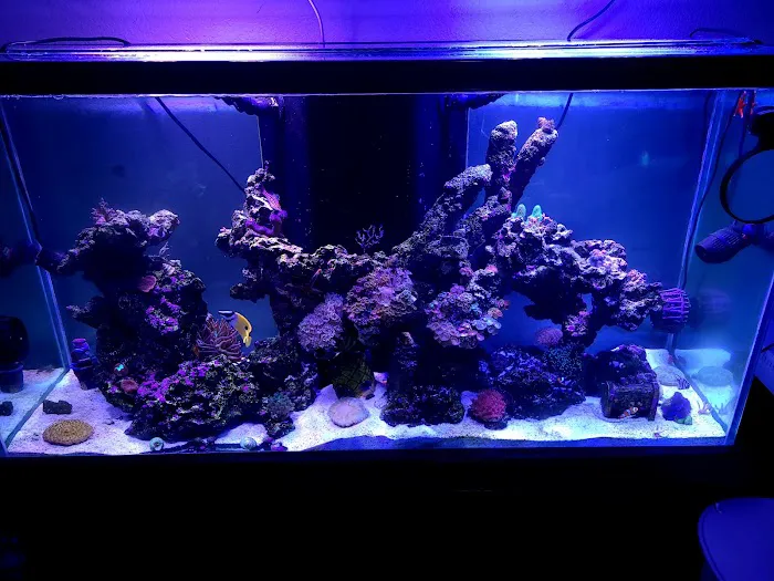 Strictly Fish Picture 10
