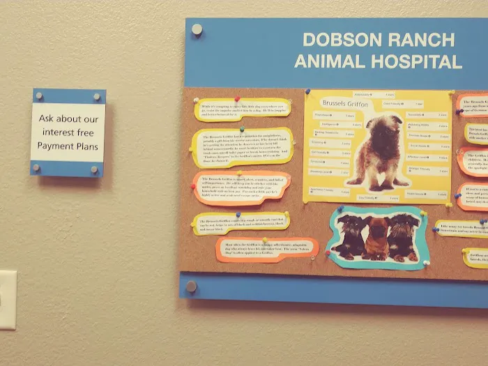 Lovet Pet Health Care - Dobson Ranch Picture 8