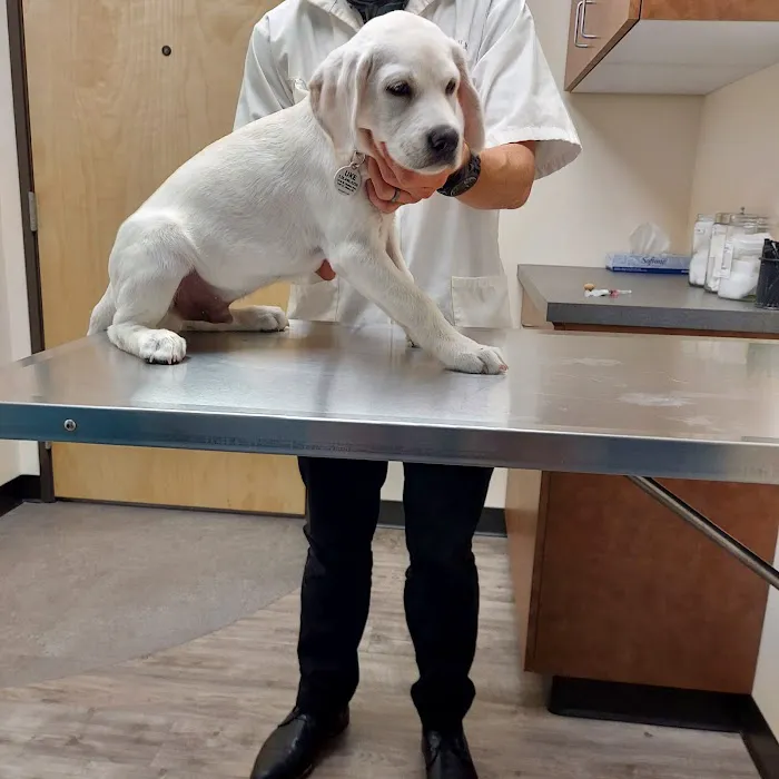 Primary Pet Care Picture 6