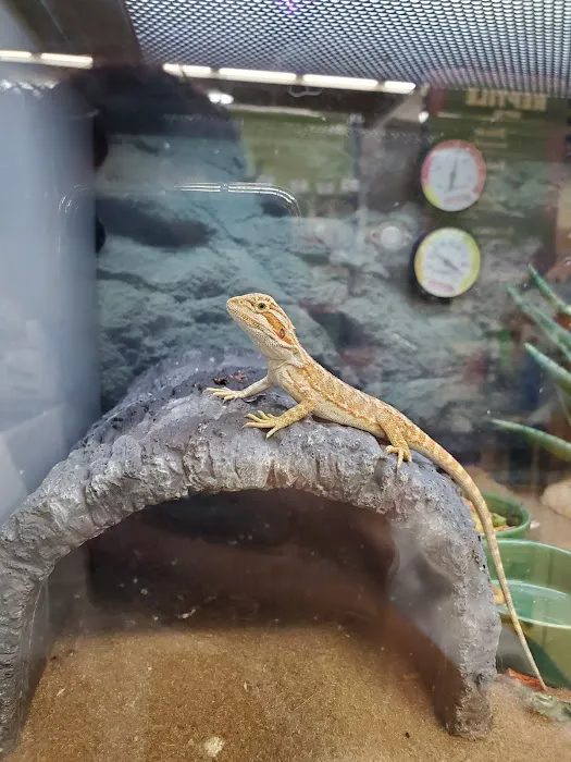 Petco Picture 5