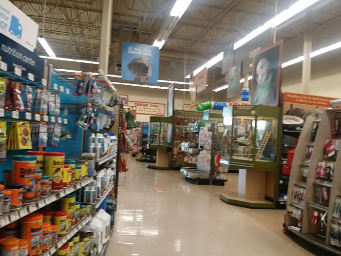 Petco Picture 6