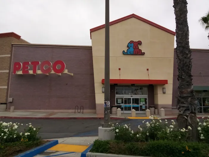 Petco Picture 4