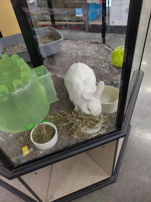 Petco Picture 7