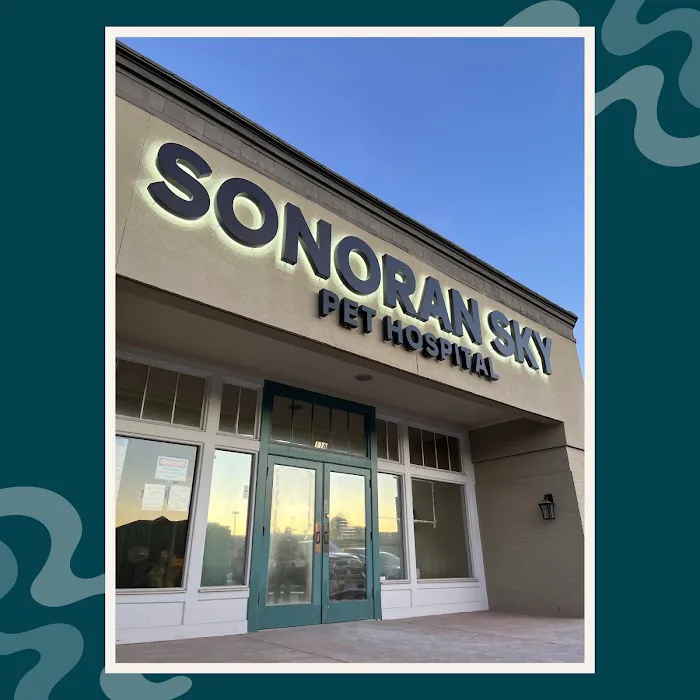 Sonoran Sky Pet Hospital Picture 10